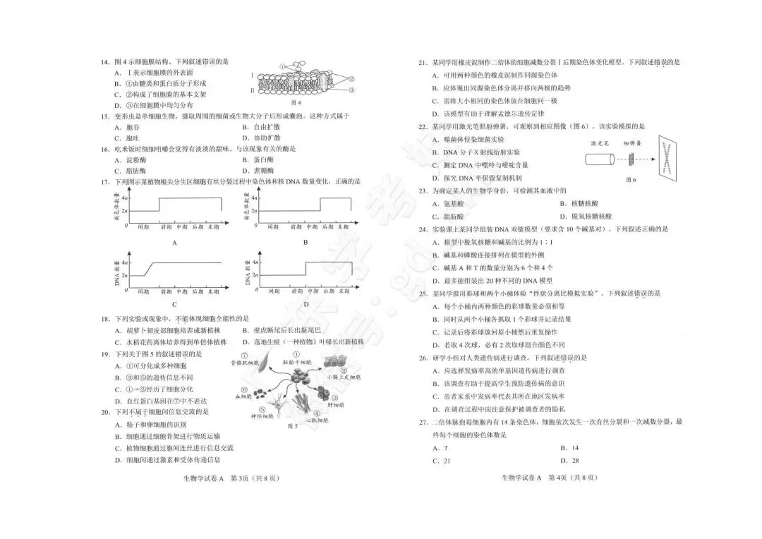 假期练起来!合格考历年真题这里下载! 第6张