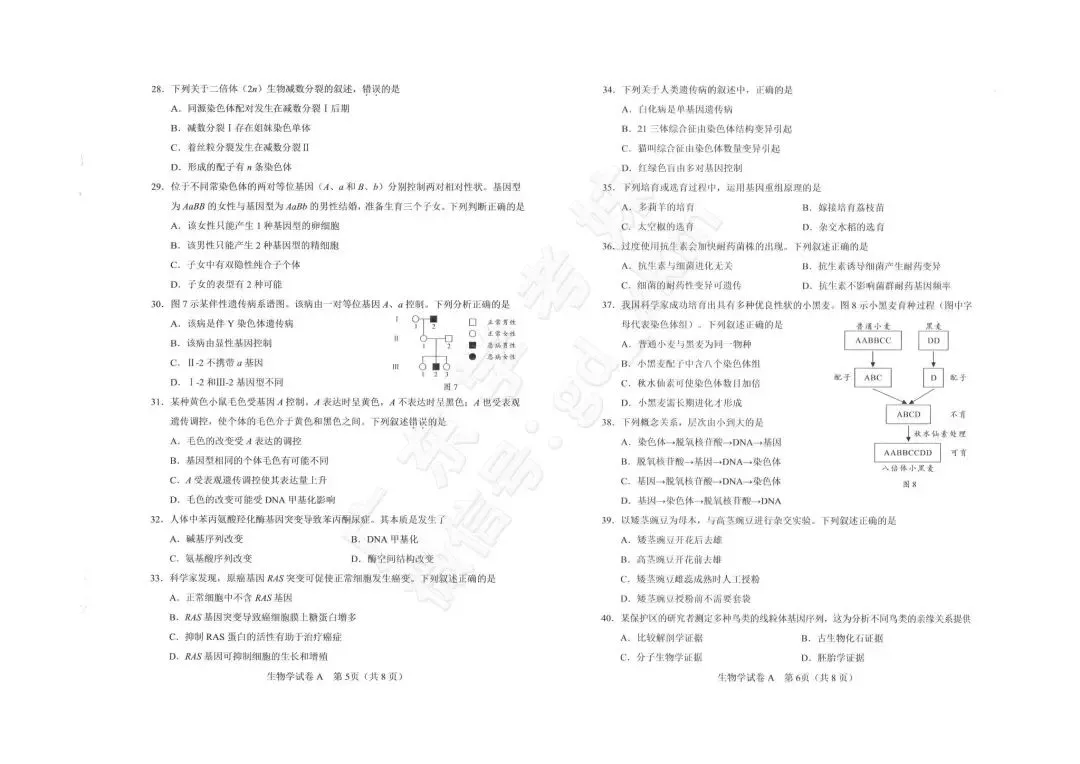 假期练起来!合格考历年真题这里下载! 第7张