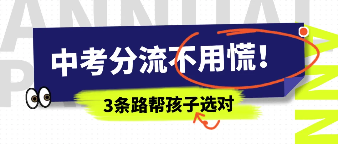 中考分流不用慌!3条路帮孩子选对 第1张
