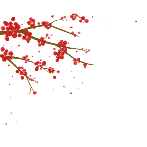 捷报!中考体育满分!从33分到60分的逆袭,感谢,感恩! 第2张