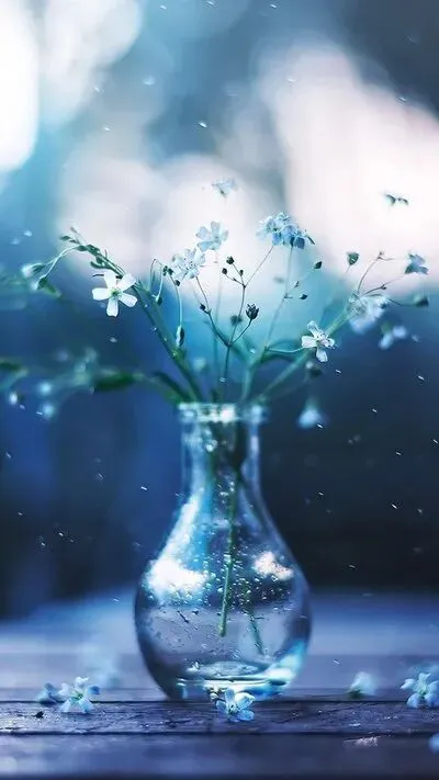 2026年中考模拟考试化学试题14 第9张