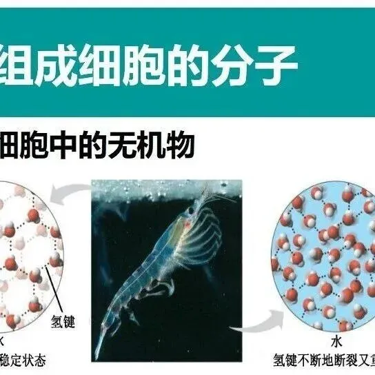 基于真题的“一题多问”及一轮复习 第5张