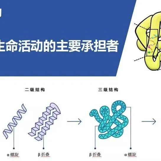 基于真题的“一题多问”及一轮复习 第8张