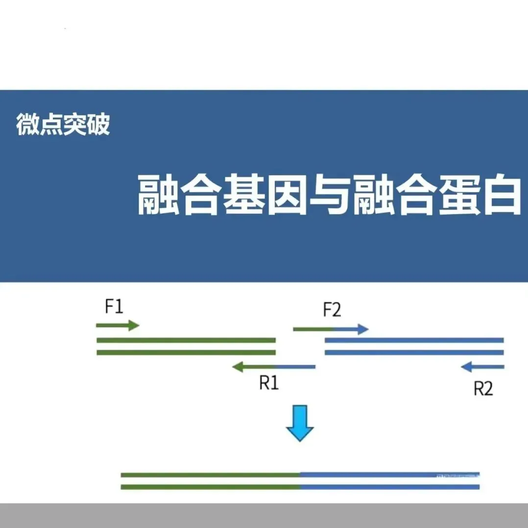 基于真题的“一题多问”及一轮复习 第10张
