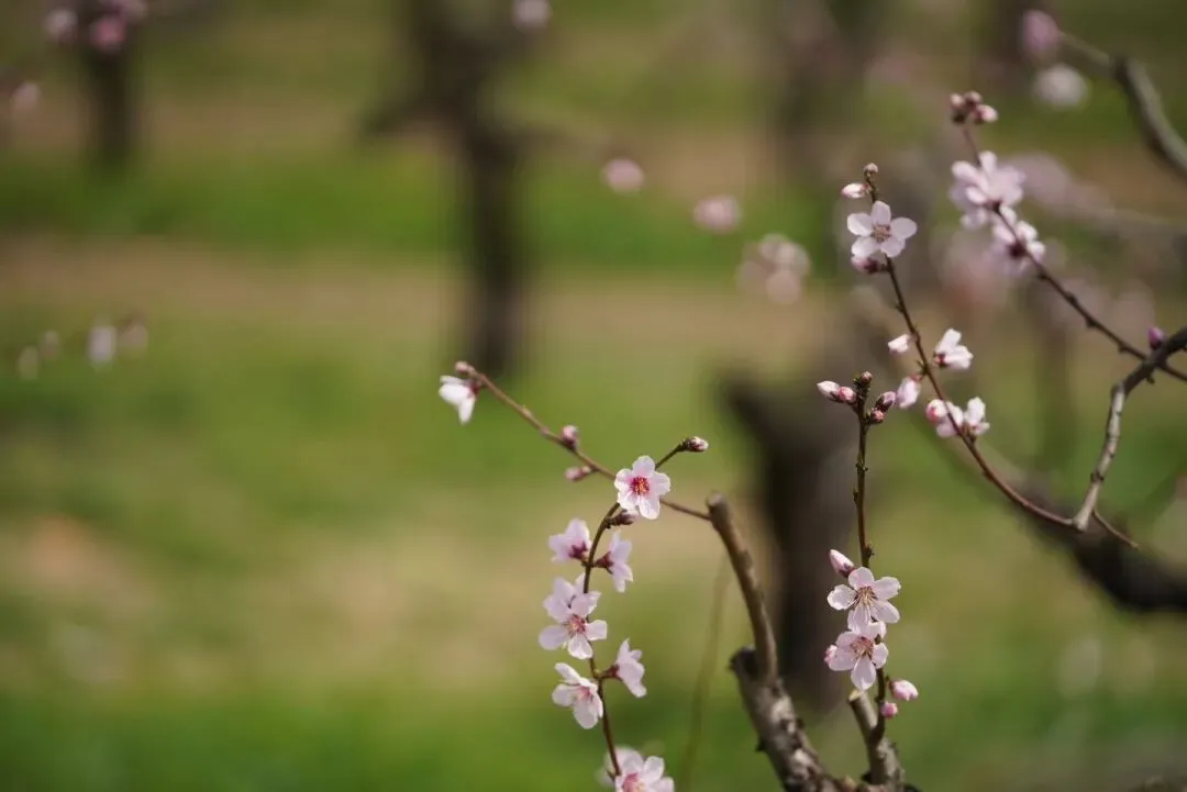 高考语文专项提分学案:文言文真题研做(三) 第4张