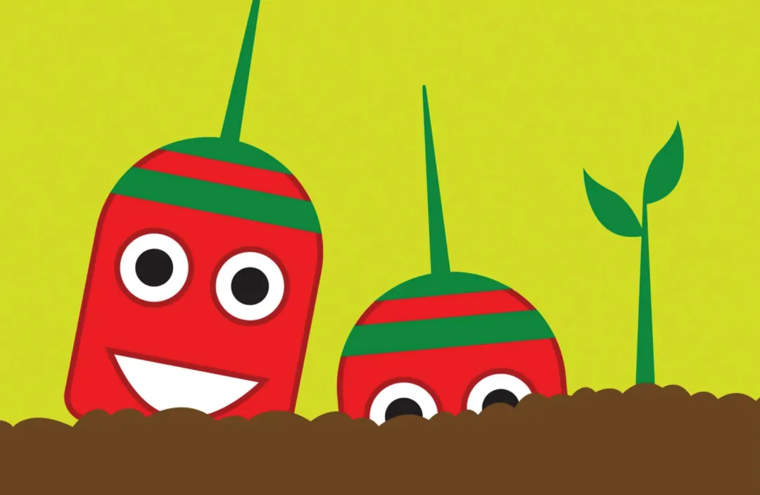 北京中考 C篇最常见的三类说明文,长什么样?孩子平时到底该怎么读? 第4张