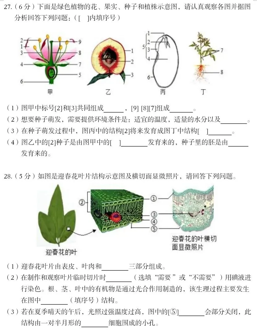 最新人教版初中生物中考复习托底练习卷02(七下全册).docx 第6张
