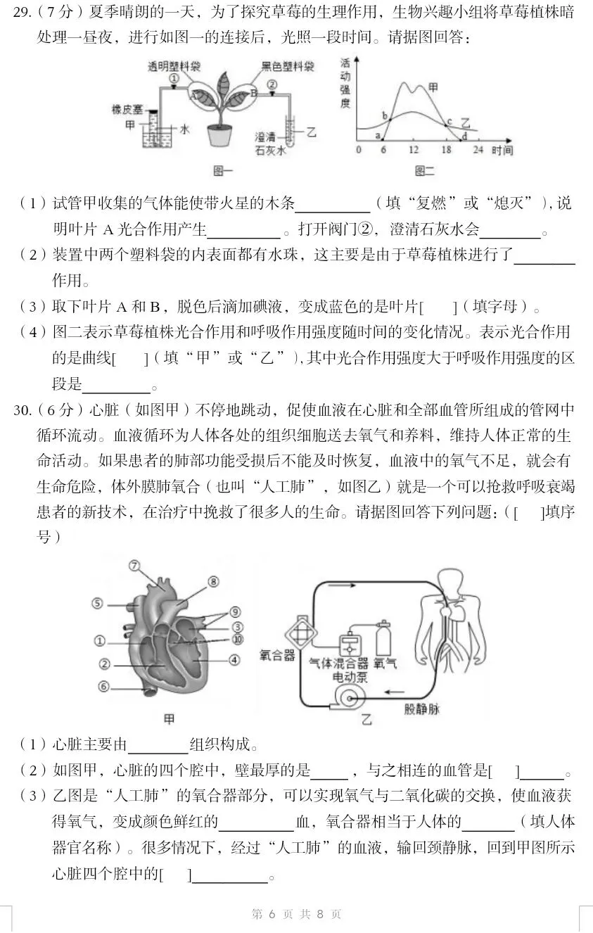 最新人教版初中生物中考复习托底练习卷02(七下全册).docx 第7张