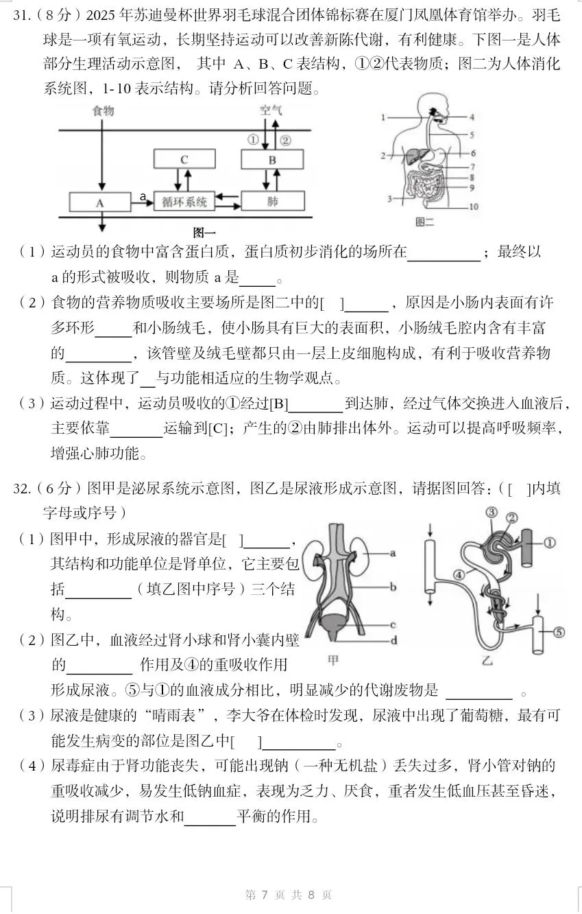 最新人教版初中生物中考复习托底练习卷02(七下全册).docx 第8张