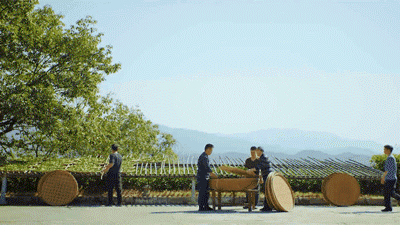 中国非遗,中式美学,中考高频 第11张