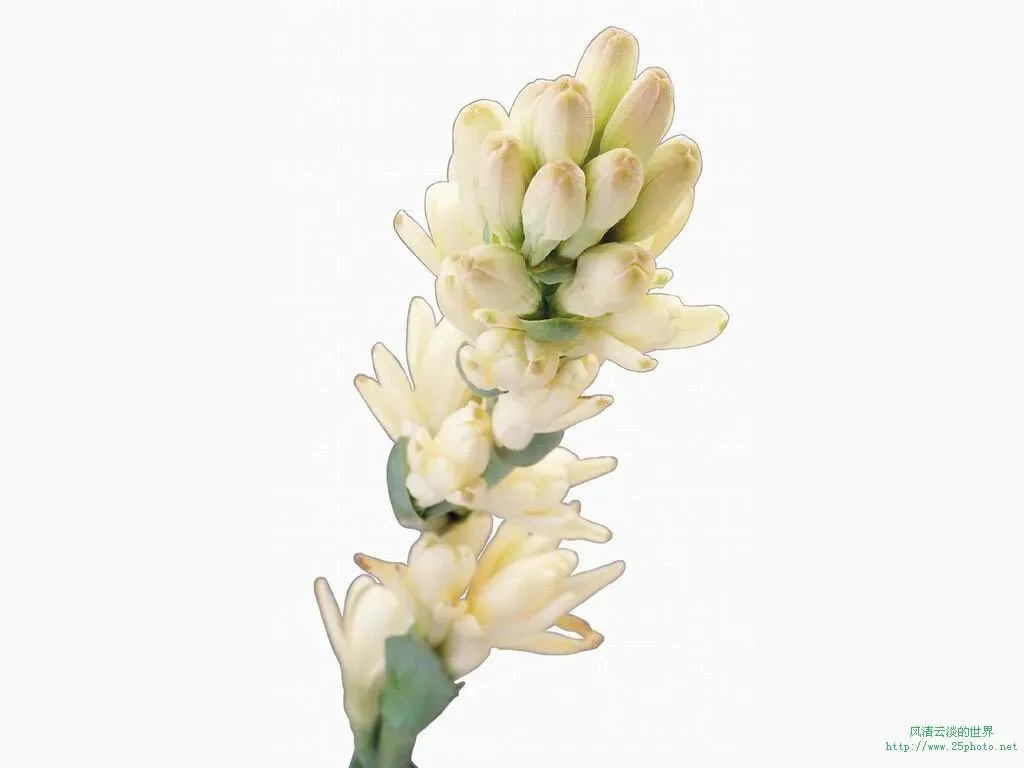 《红星照耀中国》中考文段赏析题(二) 第1张