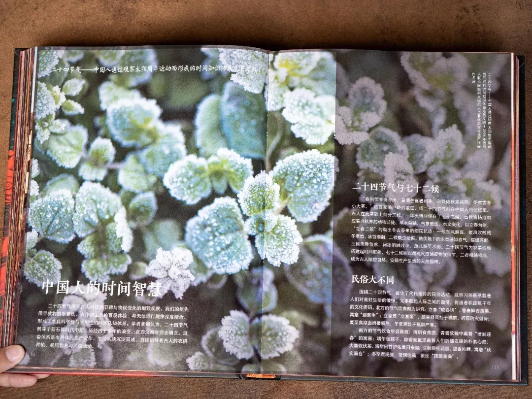 中国非遗,中式美学,中考高频 第26张