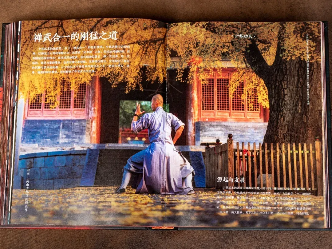 中国非遗,中式美学,中考高频 第40张