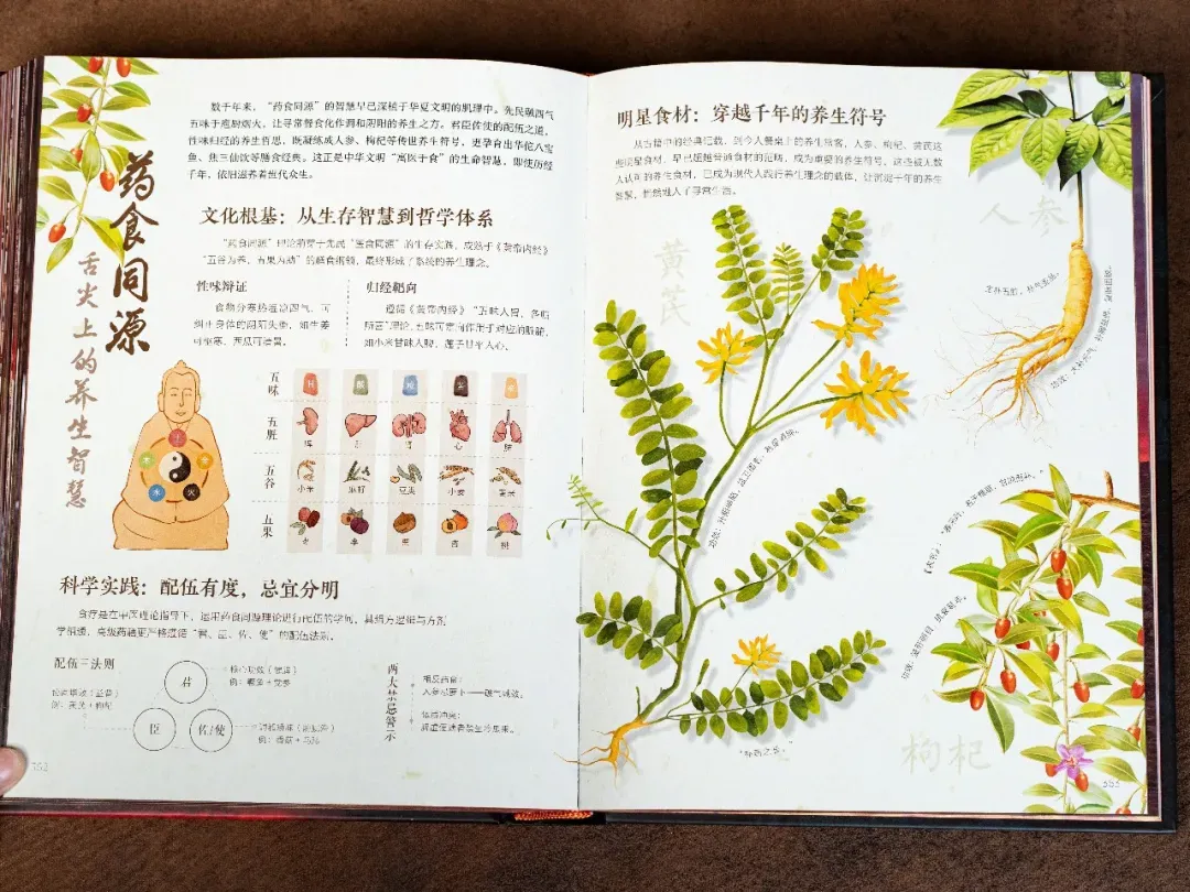 中国非遗,中式美学,中考高频 第79张