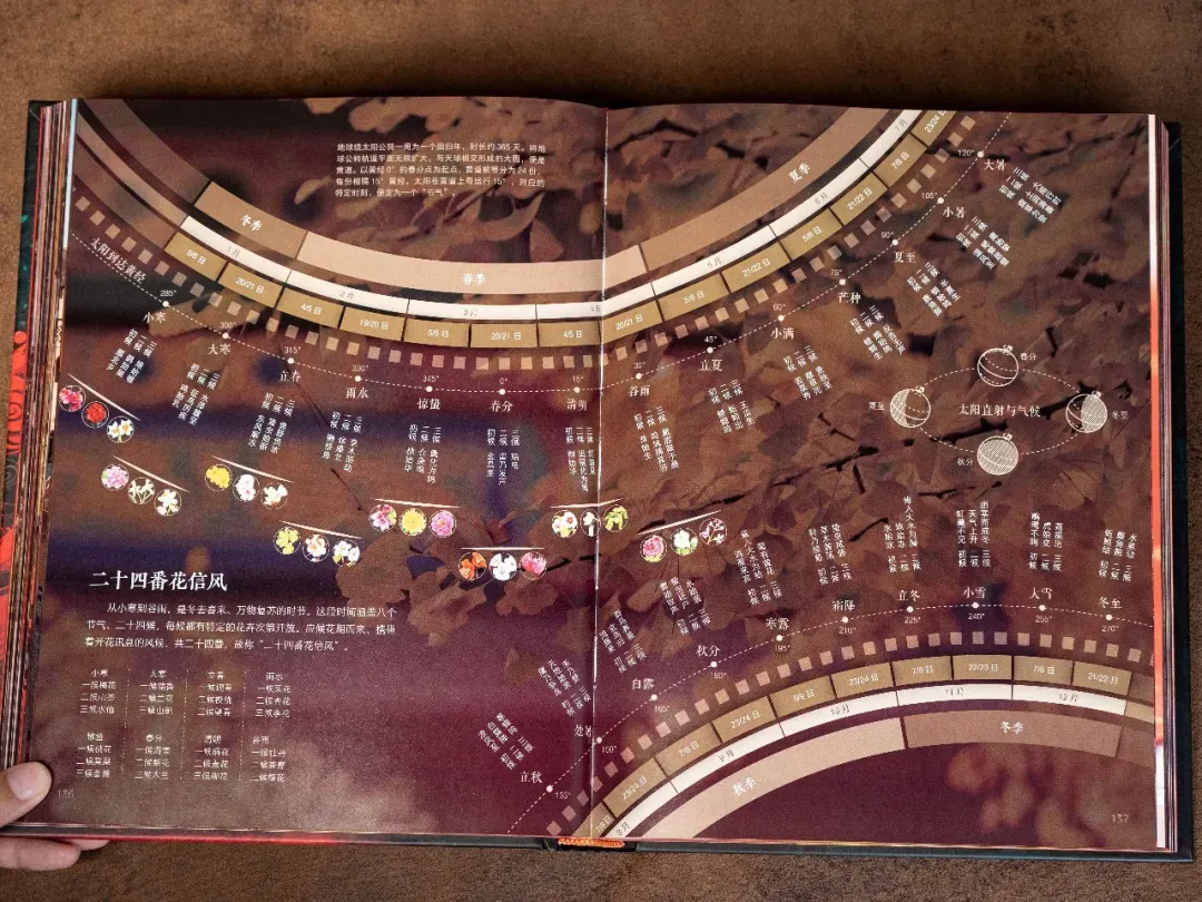 中国非遗,中式美学,中考高频 第84张