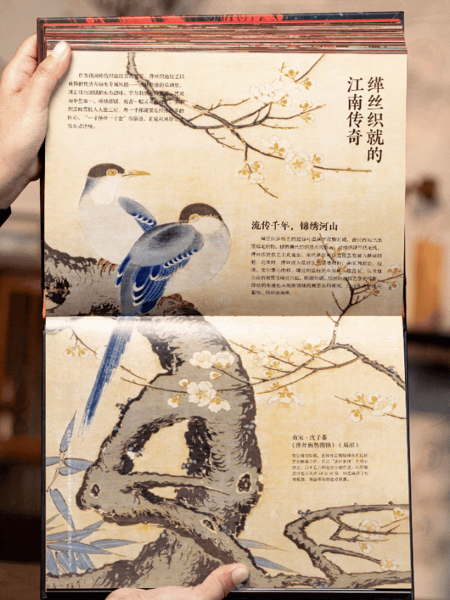 中国非遗,中式美学,中考高频 第85张