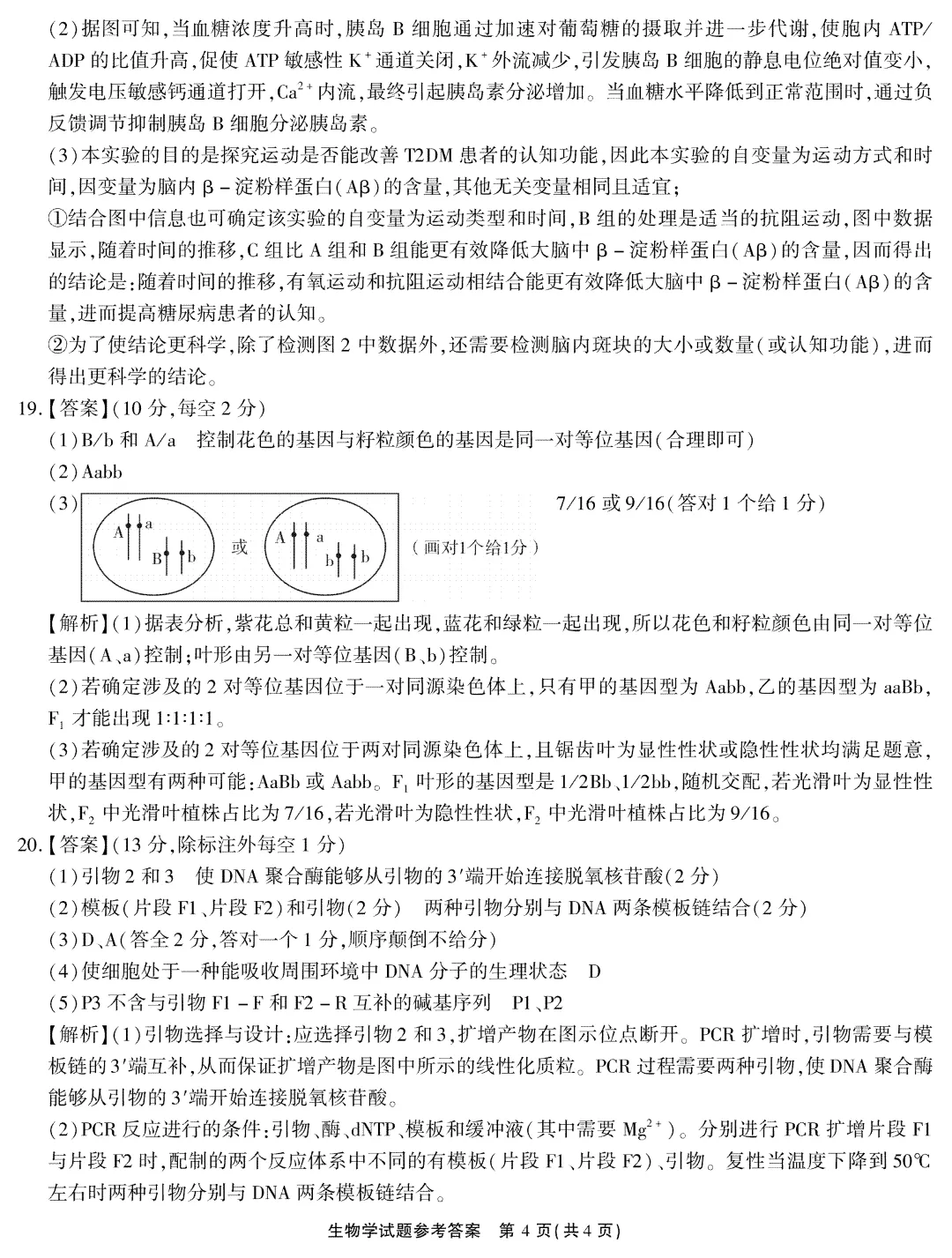 江淮十校2026高三4月模拟试卷及答案 第18张