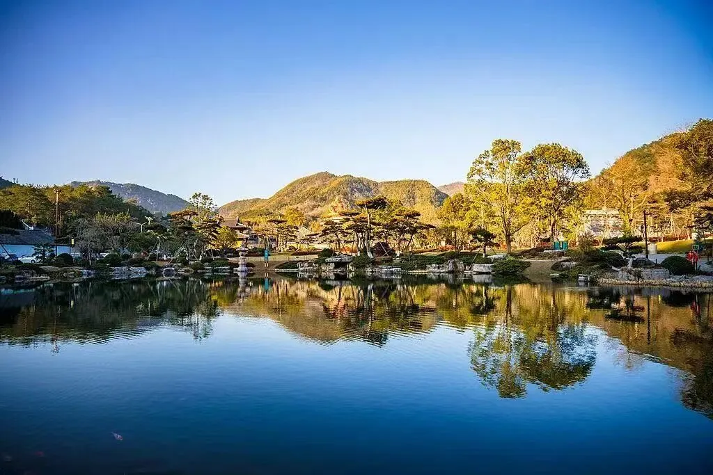 合肥市肥西县2026年中考一模数学试题及答案 第6张