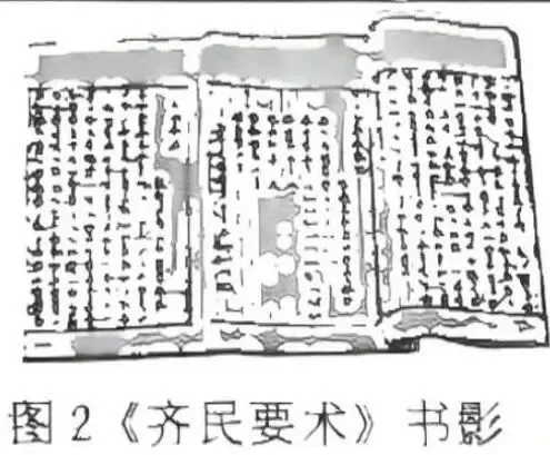 中考模拟:2026年安徽省安庆市中考模拟考试历史试题 第8张