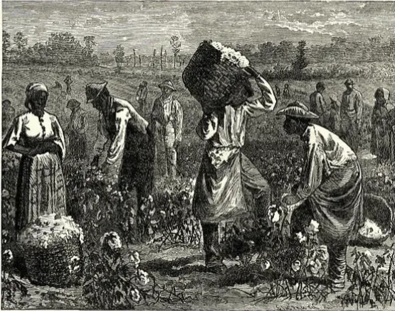 2026 年中考历史热点专题(九):文明遗珠归途—从法国归还文物看世界殖民体系变迁 第12张