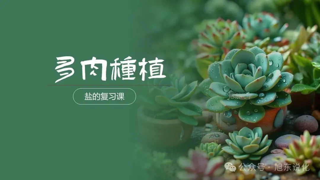 复习课件 | 铜眼看世界—— 中考化学金属专题复习 第24张