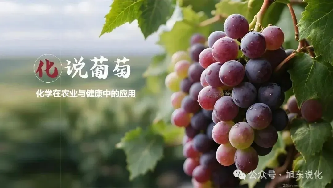 复习课件 | 铜眼看世界—— 中考化学金属专题复习 第26张