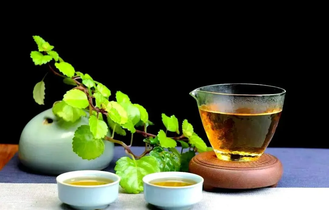 2026中考语文作文备考——范文精选9篇 第2张