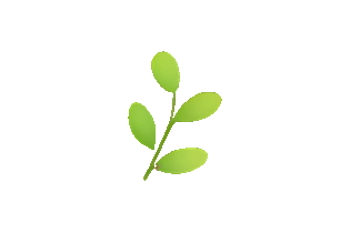 Young妈畅销书专场+直播讲座|中考取消了,一定要做正确的事 第8张