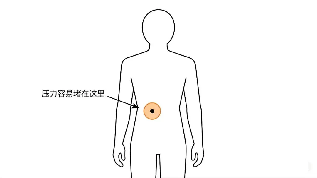 《中考体育倒计时:孩子一跑步就肚子疼,可能是心理在“抗议”》 第3张