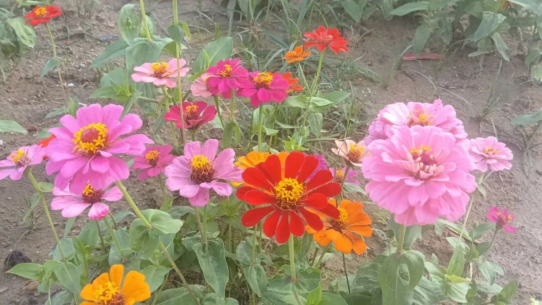 【备战中考】《读书让生活更美好》审题指导及优秀范文 第1张