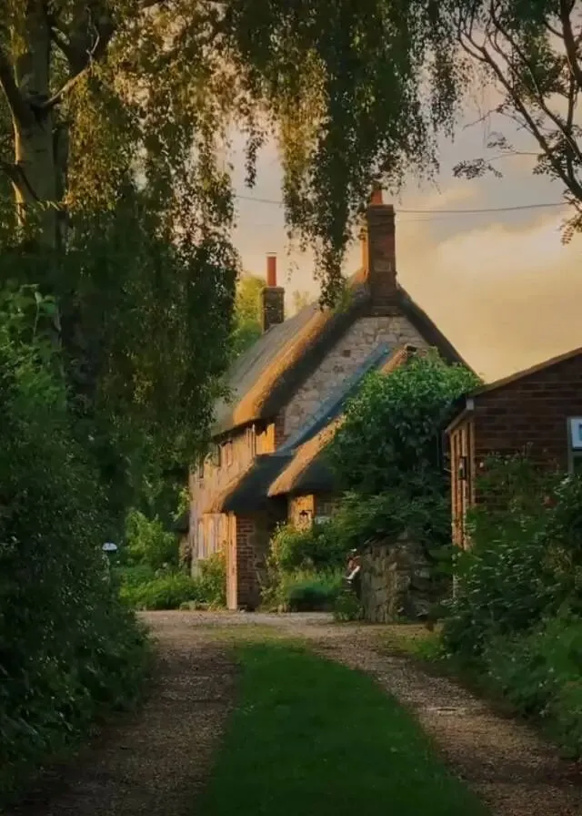 人教版英语八年级上册中考总复习单元知识点总结 第1张