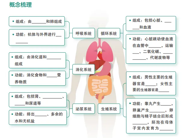 【2026中考生物学】学好这些,生物就没有一点难度了(以新人教版为基础整理)1生物学中的“结构与功能相适应”原则 第18张
