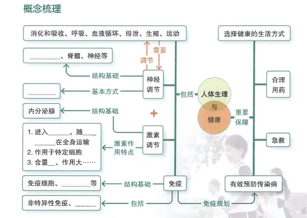 【2026中考生物学】学好这些,生物就没有一点难度了(以新人教版为基础整理)1生物学中的“结构与功能相适应”原则 第19张