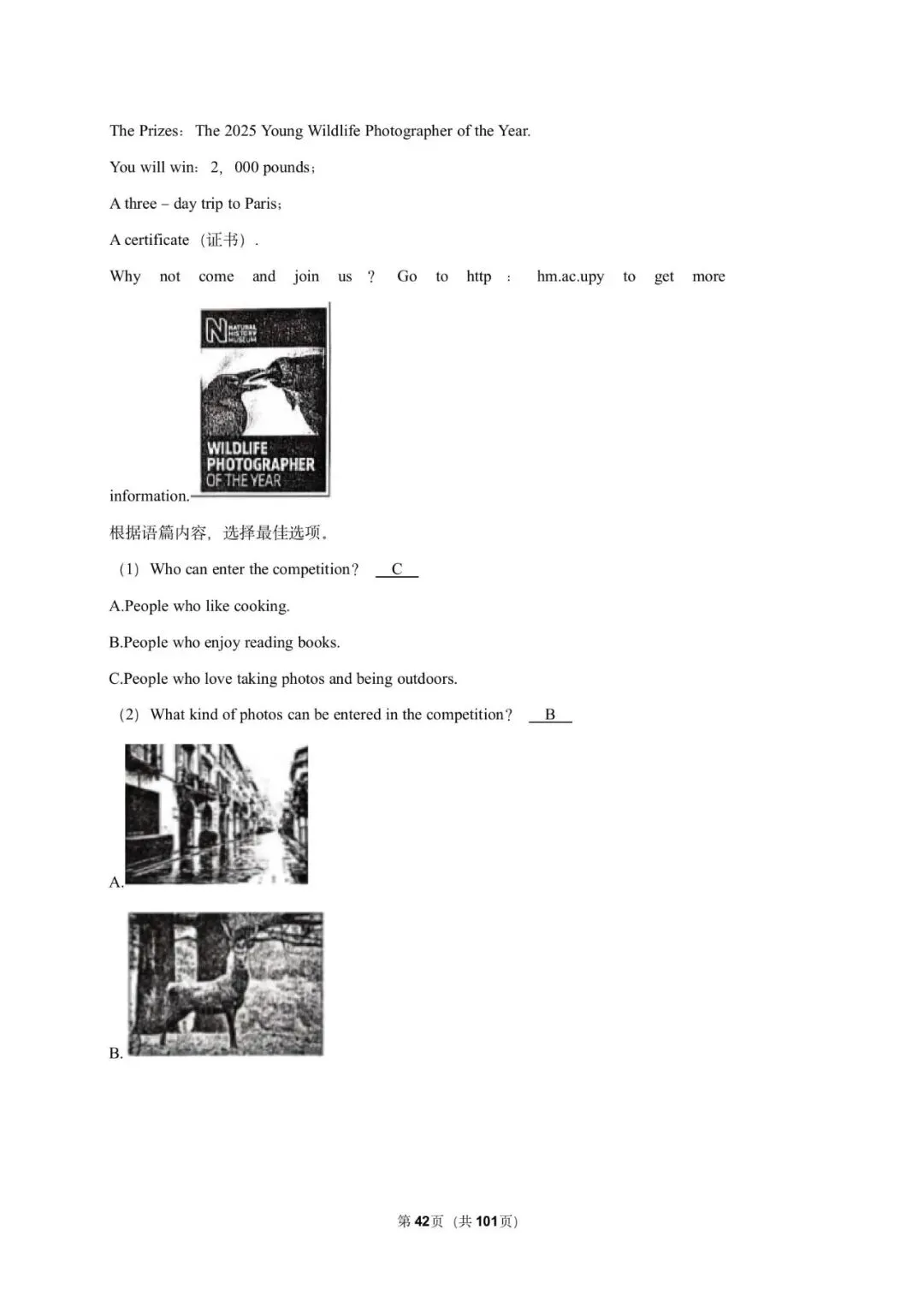 2026年中考常考考点专题资料-英语 第12张