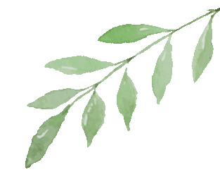 凝心聚力伴成长 同心同行赢中考 ——郴州市六中2026届九年级家长会圆满召开 第4张