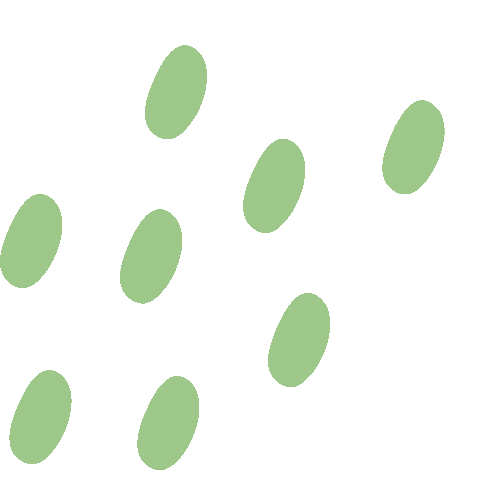 凝心聚力伴成长 同心同行赢中考 ——郴州市六中2026届九年级家长会圆满召开 第35张