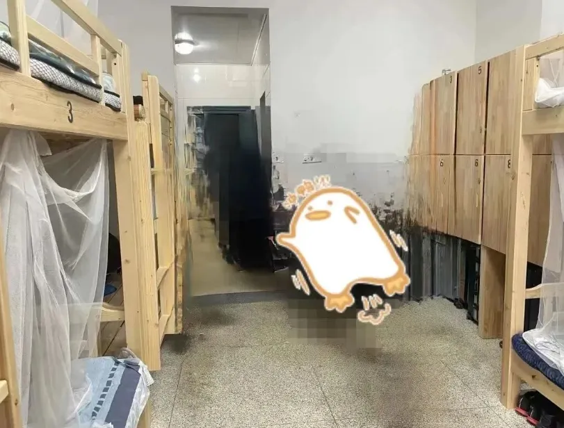 中考家长必存!杭州高中宿舍实景全收录,选校不纠结→ 第133张