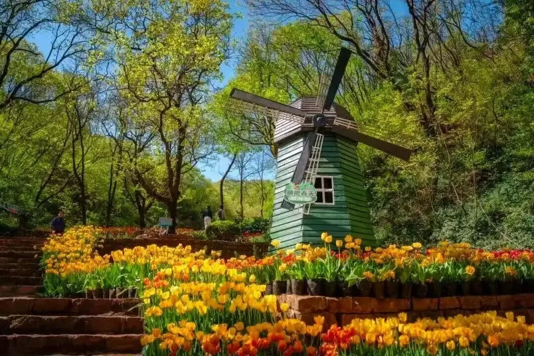 山东济南市 2026 届高三第二次模拟考试语文试题 第1张