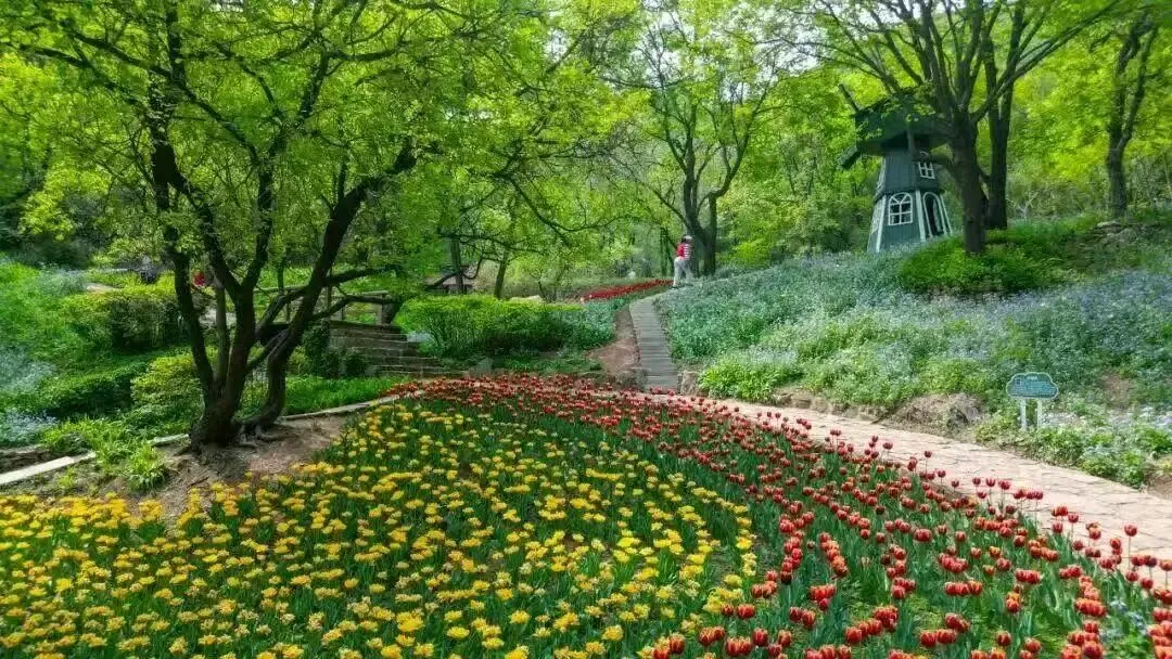 山东济南市 2026 届高三第二次模拟考试语文试题 第2张