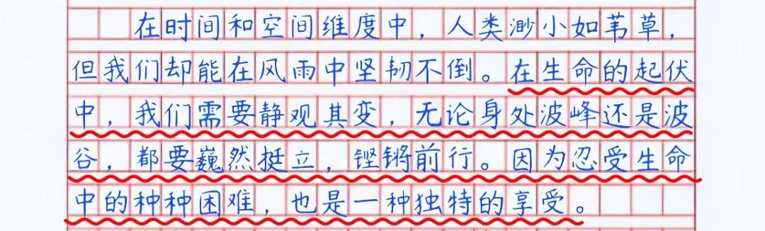 【中考议论文满分佳作解析】|《忍受与享受》逐段拆解教你写高分 第3张