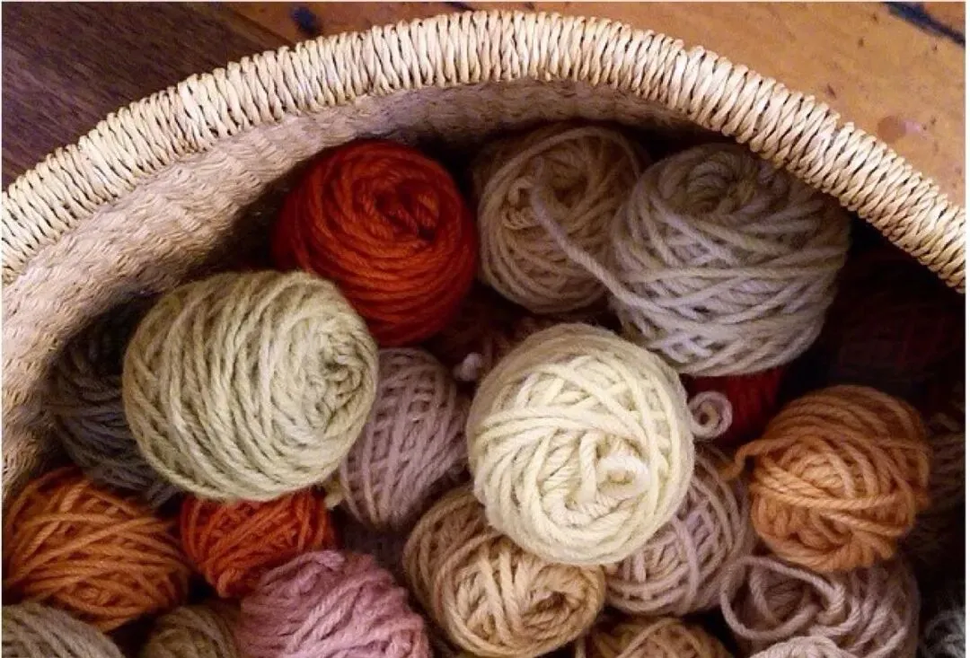 【深外】2026一模作文真题拆解 第17张