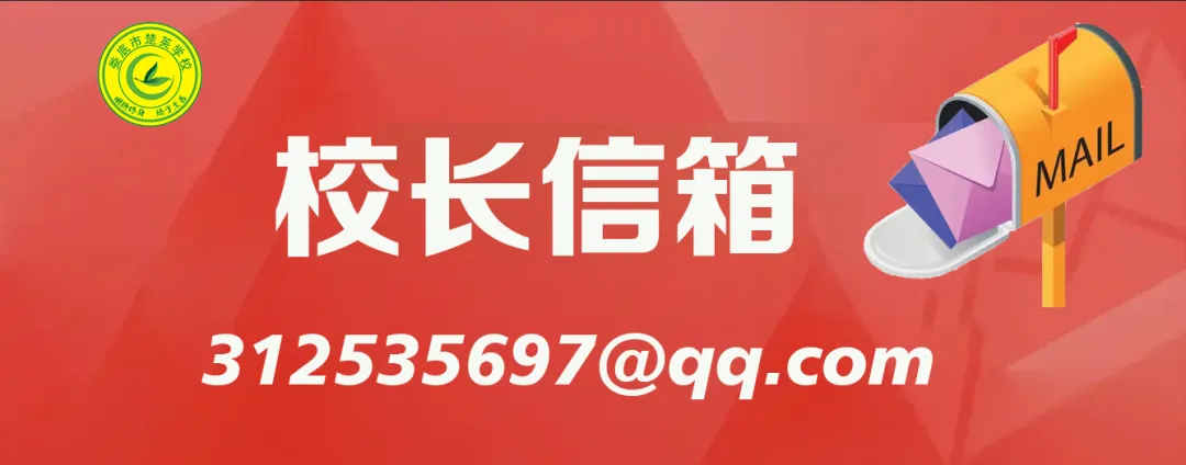 聚焦微专题 赋能新中考 ——娄星区2026年中考化学复习备考研讨会在楚英学校圆满落幕 第1张