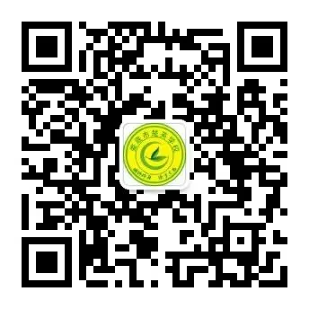 聚焦微专题 赋能新中考 ——娄星区2026年中考化学复习备考研讨会在楚英学校圆满落幕 第24张