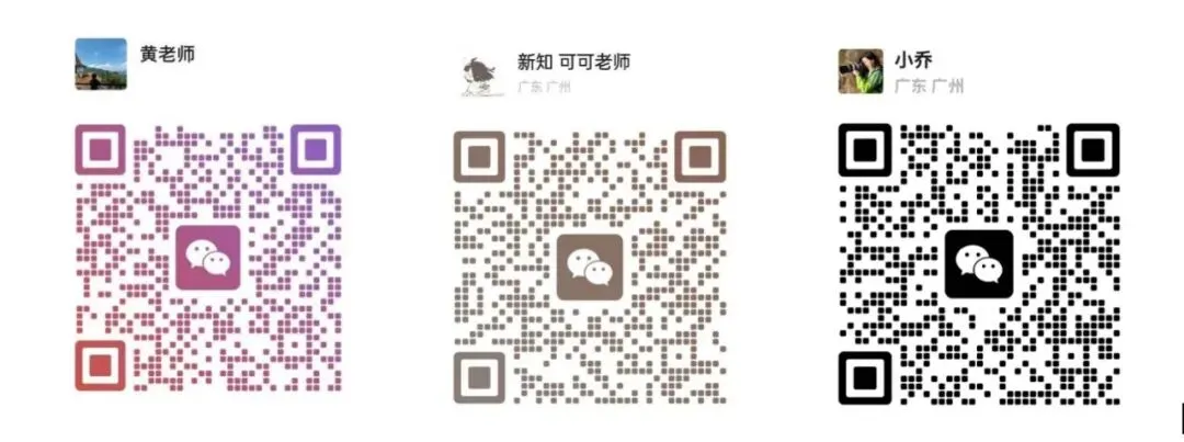 中考语文高分冲刺终极指南|直击得分核心要点 第11张