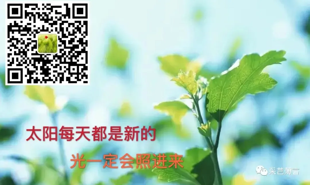 八年数学:2026年17中考 第8张