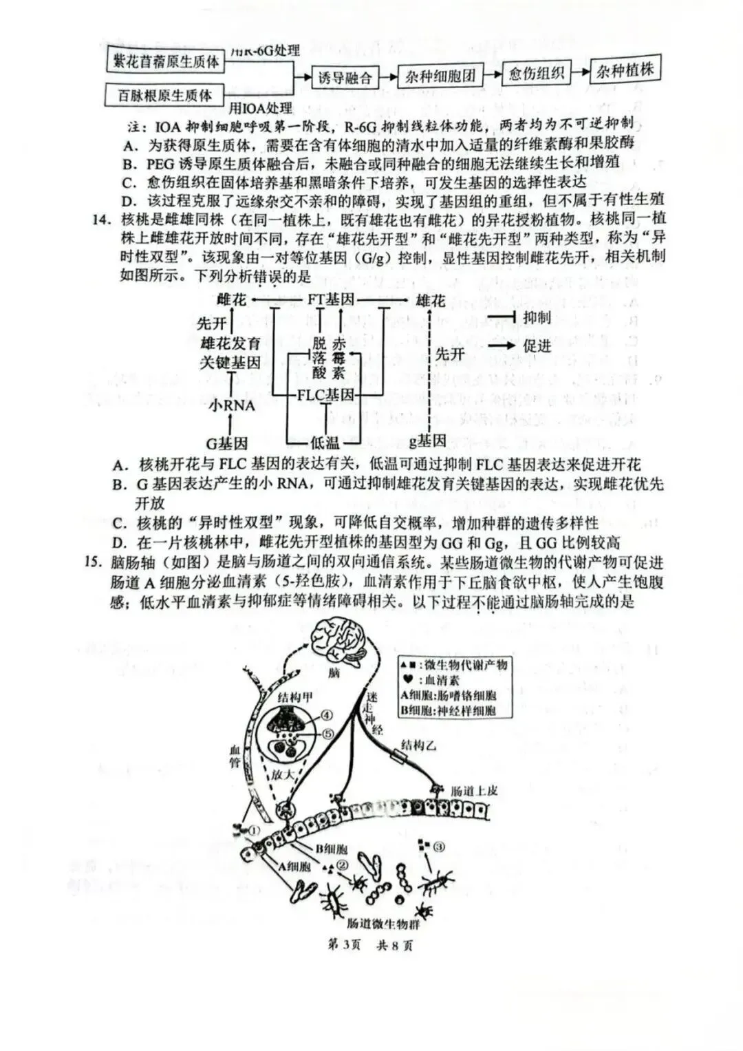 【高三生物】广东惠州市2026届高三4月模拟考试(二模)生物试题+答案 第3张