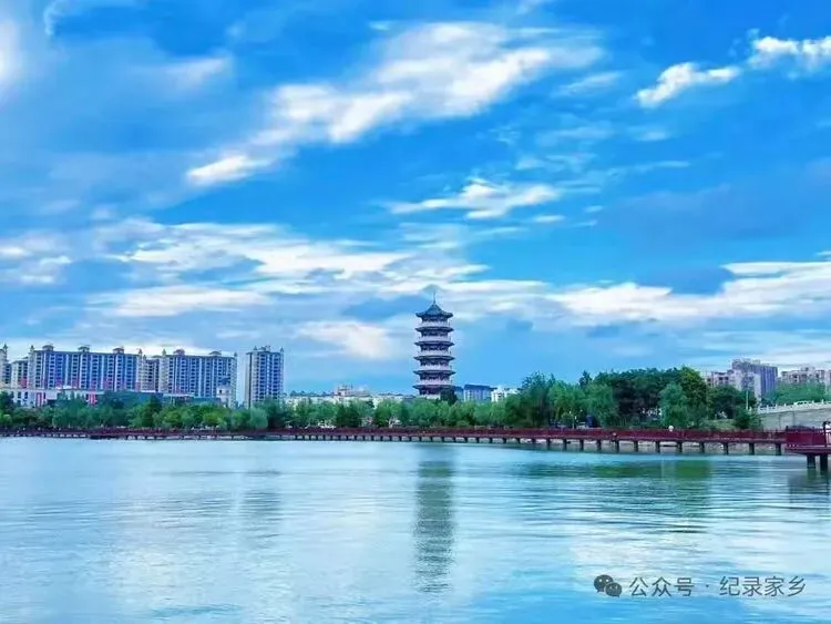 聚焦课标赋能中考 科学规划争创辉煌 第1张