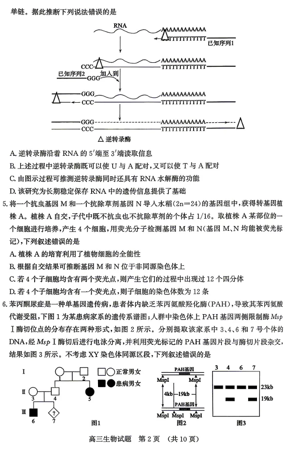 山东省济南市2026届高三年级第二次模拟考试(济南高三二模)(4.15-4.17) 生物试卷及答案 第2张
