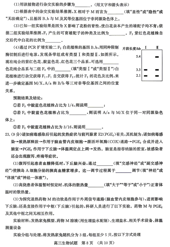 山东省济南市2026届高三年级第二次模拟考试(济南高三二模)(4.15-4.17) 生物试卷及答案 第8张