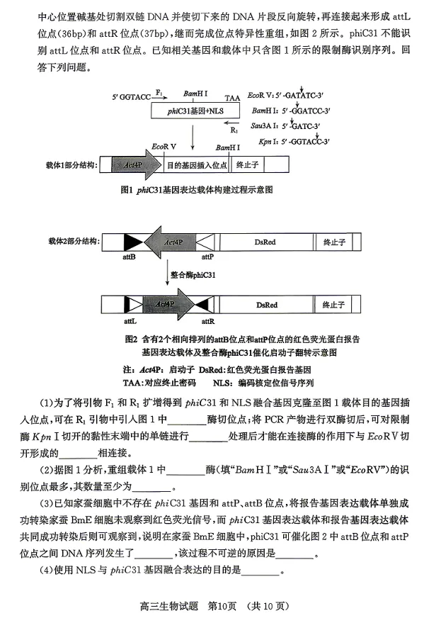 山东省济南市2026届高三年级第二次模拟考试(济南高三二模)(4.15-4.17) 生物试卷及答案 第10张